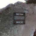 Wicie