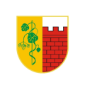Witnica